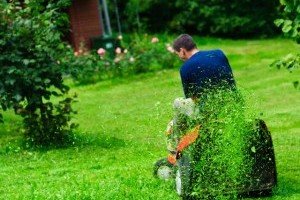 Landscaping Lawn Mowing