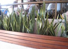 Kwikfynd Plants
baldivis