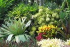 Baldivissustainable-landscaping-3.jpg; ?>