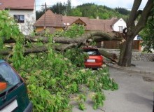 Kwikfynd Tree Cutting Services
baldivis