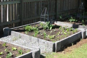 Landscaping Organic Gardening